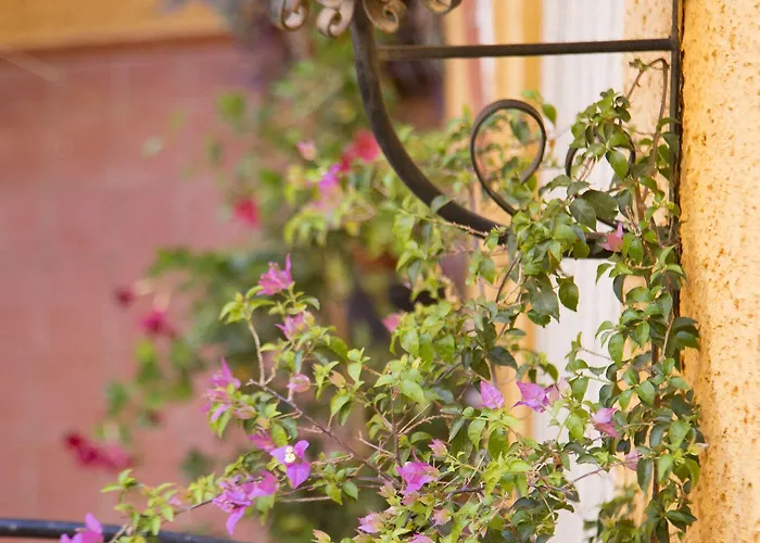 Loreto Affittacamere 4*