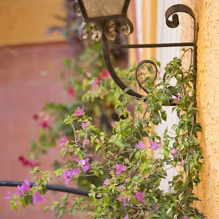 Loreto 게스트하우스 4*